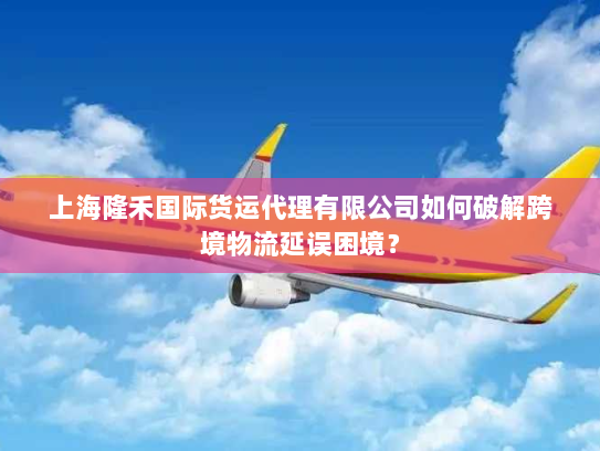 上海隆禾国际货运代理有限公司如何破解跨境物流延误困境？