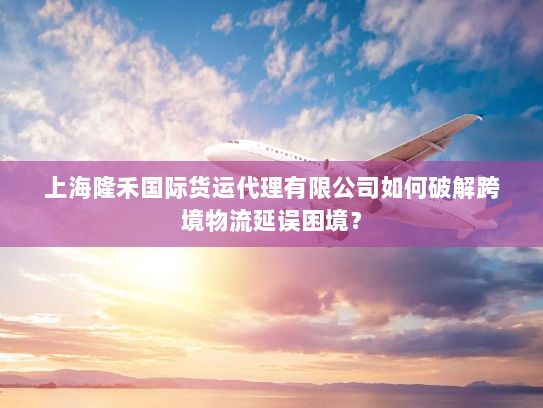 上海隆禾国际货运代理有限公司如何破解跨境物流延误困境？