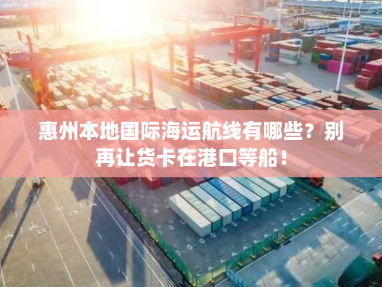 惠州本地国际海运航线有哪些？别再让货卡在港口等船！