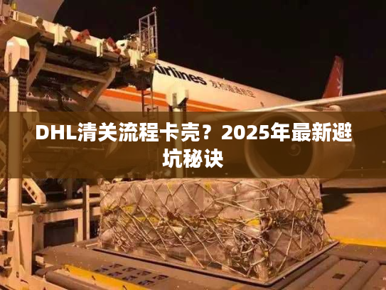 DHL清关流程卡壳？2025年最新避坑秘诀