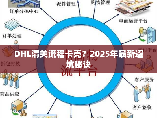 DHL清关流程卡壳？2025年最新避坑秘诀