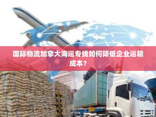 国际物流加拿大海运专线如何降低企业运输成本？