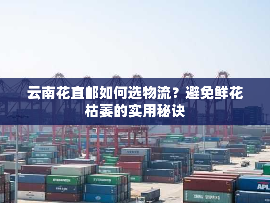 云南花直邮如何选物流？避免鲜花枯萎的实用秘诀