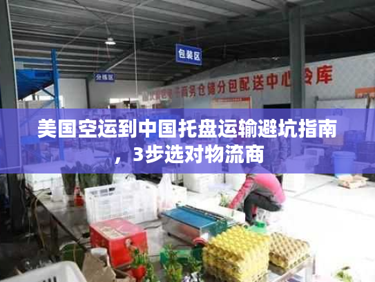 美国空运到中国托盘运输避坑指南，3步选对物流商