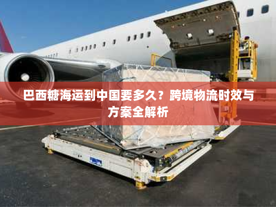 巴西糖海运到中国要多久?跨境物流时效与方案全解析 巴西糖海运到中国要多久?跨境物流时效与方案全解析