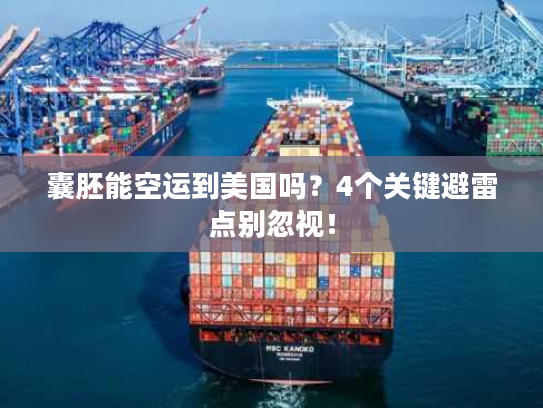 囊胚能空运到美国吗？4个关键避雷点别忽视！