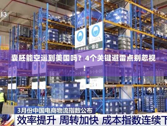 囊胚能空运到美国吗？4个关键避雷点别忽视！