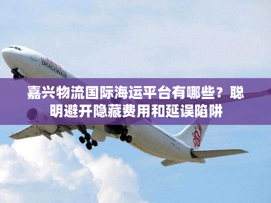 嘉兴物流国际海运平台有哪些?聪明避开隐藏费用和延误陷阱 嘉兴物流国际海运平台有哪些?聪明避开隐藏费用和延误陷阱