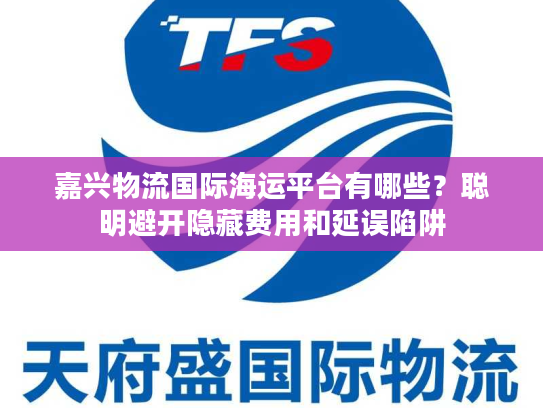 嘉兴物流国际海运平台有哪些？聪明避开隐藏费用和延误陷阱