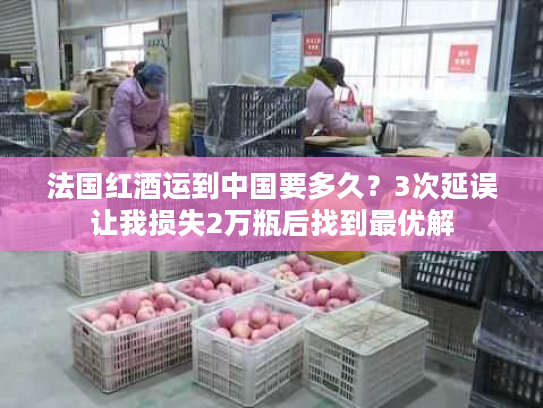 法国红酒运到中国要多久？3次延误让我损失2万瓶后找到最优解