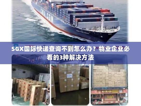 SGX国际快递查询不到怎么办？物业企业必看的3种解决方法