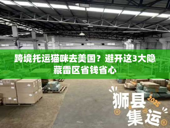 跨境托运猫咪去美国？避开这3大隐藏雷区省钱省心