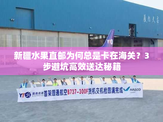 新疆水果直邮为何总是卡在海关？3步避坑高效送达秘籍