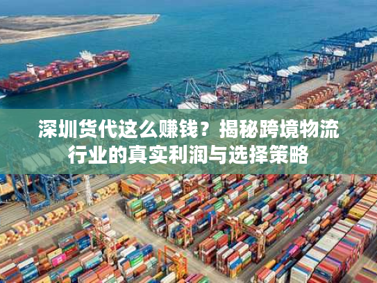 深圳货代这么赚钱？揭秘跨境物流行业的真实利润与选择策略