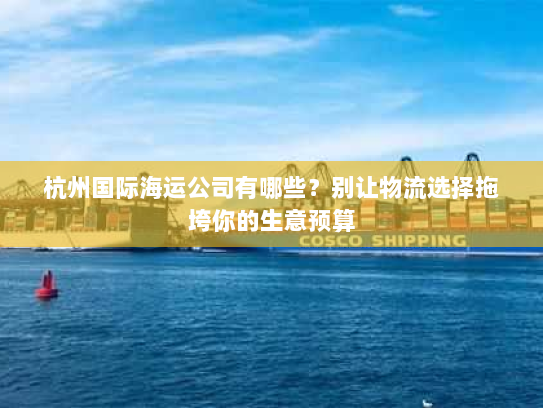 杭州国际海运公司有哪些？别让物流选择拖垮你的生意预算