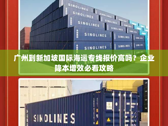 广州到新加坡国际海运专线报价高吗？企业降本增效必看攻略