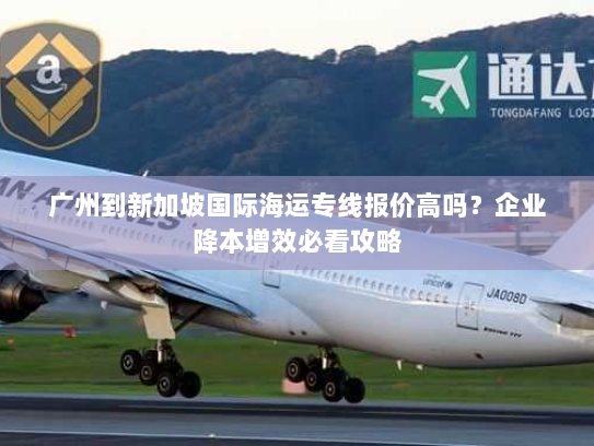 广州到新加坡国际海运专线报价高吗？企业降本增效必看攻略