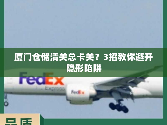 厦门仓储清关总卡关？3招教你避开隐形陷阱