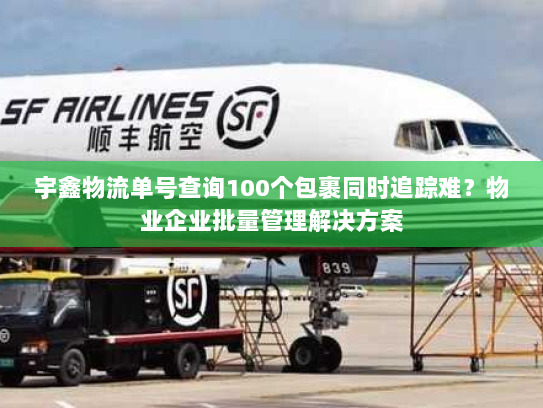 宇鑫物流单号查询100个包裹同时追踪难?物业企业批量管理解决方案 宇鑫物流单号查询100个包裹同时追踪难?物业企业批量管理解决方案
