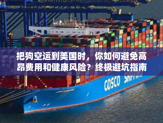 把狗空运到美国时，你如何避免高昂费用和健康风险？终极避坑指南