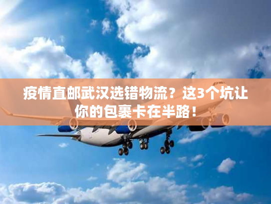 疫情直邮武汉选错物流?这3个坑让你的包裹卡在半路! 疫情直邮武汉选错物流?这3个坑让你的包裹卡在半路!