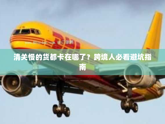 清关慢的货都卡在哪了?跨境人必看避坑指南 清关慢的货都卡在哪了?跨境人必看避坑指南