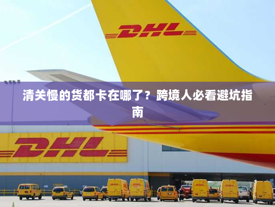 清关慢的货都卡在哪了?跨境人必看避坑指南 清关慢的货都卡在哪了?跨境人必看避坑指南