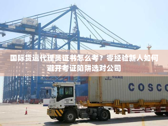 国际货运代理员证书怎么考？零经验新人如何避开考证陷阱选对公司