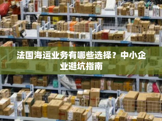 法国海运业务有哪些选择？中小企业避坑指南