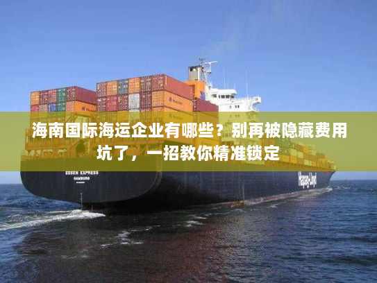 海南国际海运企业有哪些？别再被隐藏费用坑了，一招教你精准锁定