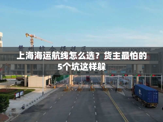 上海海运航线怎么选?货主最怕的5个坑这样躲 上海海运航线怎么选?货主最怕的5个坑这样躲
