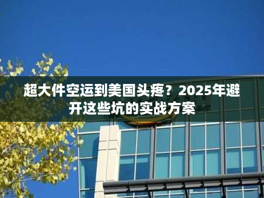 超大件空运到美国头疼？2025年避开这些坑的实战方案