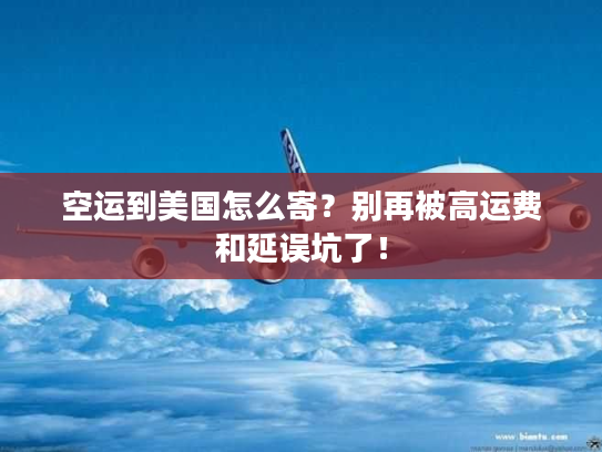 空运到美国怎么寄?别再被高运费和延误坑了! 空运到美国怎么寄?别再被高运费和延误坑了!
