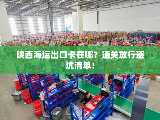 陕西海运出口卡在哪？通关放行避坑清单！