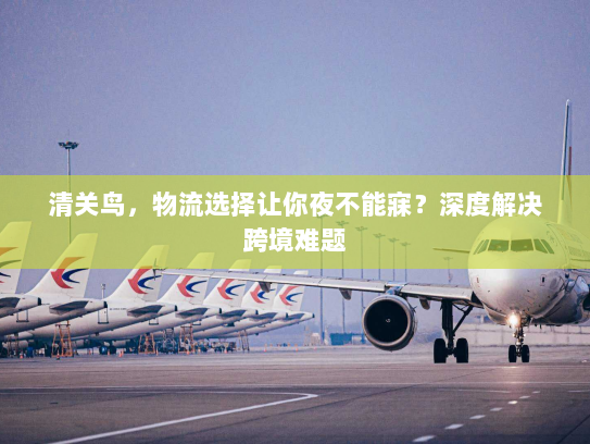 清关鸟,物流选择让你夜不能寐?深度解决跨境难题 清关鸟,物流选择让你夜不能寐?深度解决跨境难题