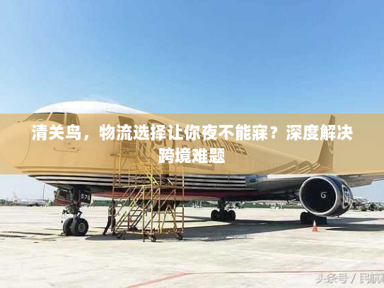 清关鸟,物流选择让你夜不能寐?深度解决跨境难题 清关鸟,物流选择让你夜不能寐?深度解决跨境难题