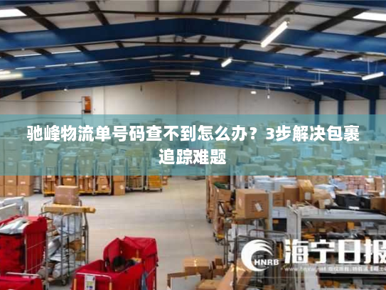 驰峰物流单号码查不到怎么办？3步解决包裹追踪难题