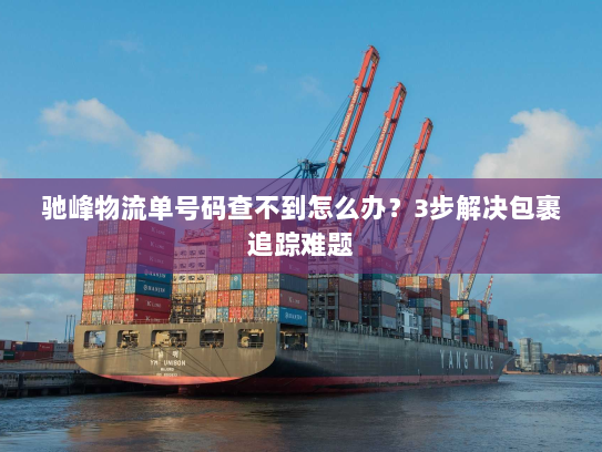 驰峰物流单号码查不到怎么办？3步解决包裹追踪难题