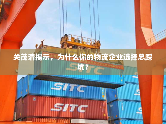 关茂清揭示，为什么你的物流企业选择总踩坑？