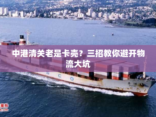 中港清关老是卡壳?三招教你避开物流大坑 中港清关老是卡壳?三招教你避开物流大坑