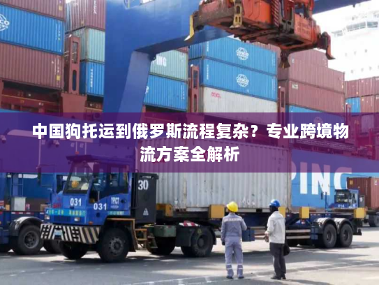 中国狗托运到俄罗斯流程复杂?专业跨境物流方案全解析 中国狗托运到俄罗斯流程复杂?专业跨境物流方案全解析