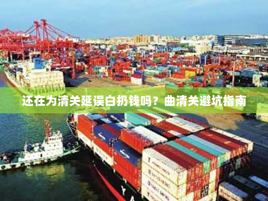 还在为清关延误白扔钱吗?曲清关避坑指南 还在为清关延误白扔钱吗?曲清关避坑指南