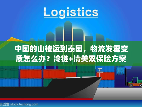 中国的山楂运到泰国，物流发霉变质怎么办？冷链+清关双保险方案
