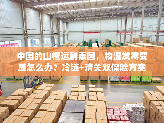 中国的山楂运到泰国，物流发霉变质怎么办？冷链+清关双保险方案