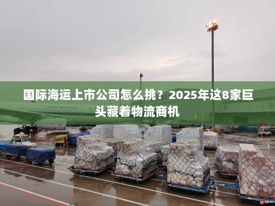 国际海运上市公司怎么挑？2025年这8家巨头藏着物流商机