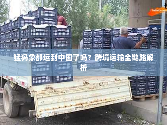 猛犸象都运到中国了吗?跨境运输全链路解析 猛犸象都运到中国了吗?跨境运输全链路解析