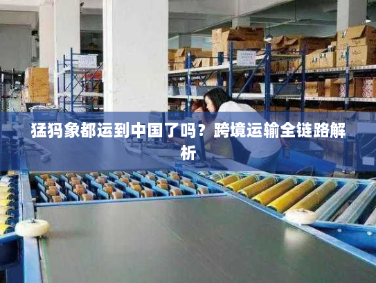 猛犸象都运到中国了吗?跨境运输全链路解析 猛犸象都运到中国了吗?跨境运输全链路解析