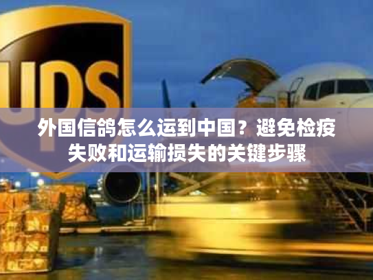 外国信鸽怎么运到中国？避免检疫失败和运输损失的关键步骤
