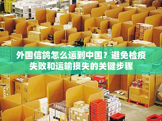 外国信鸽怎么运到中国？避免检疫失败和运输损失的关键步骤
