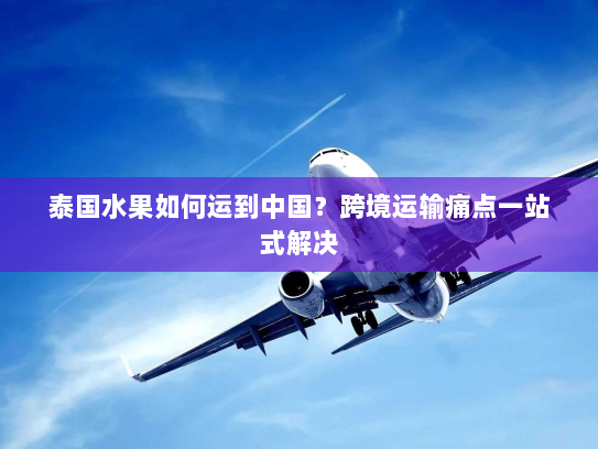 泰国水果如何运到中国?跨境运输痛点一站式解决 泰国水果如何运到中国?跨境运输痛点一站式解决